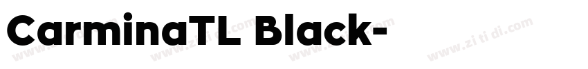 CarminaTL Black字体转换